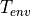 T_{env}